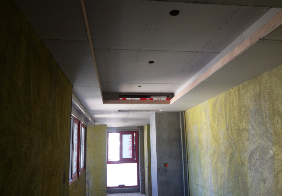 大发500-追求康健,你我一起生长