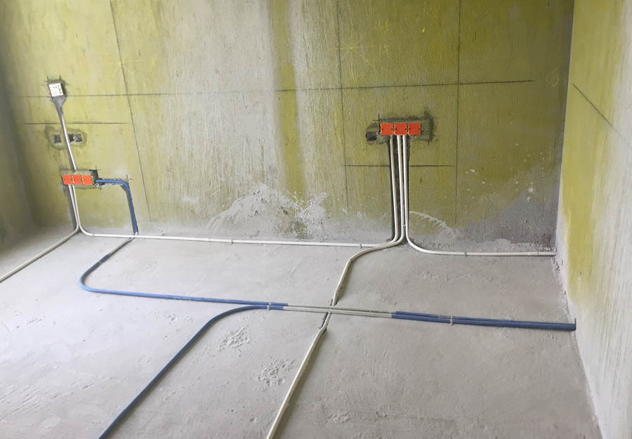 大发500-追求康健,你我一起生长