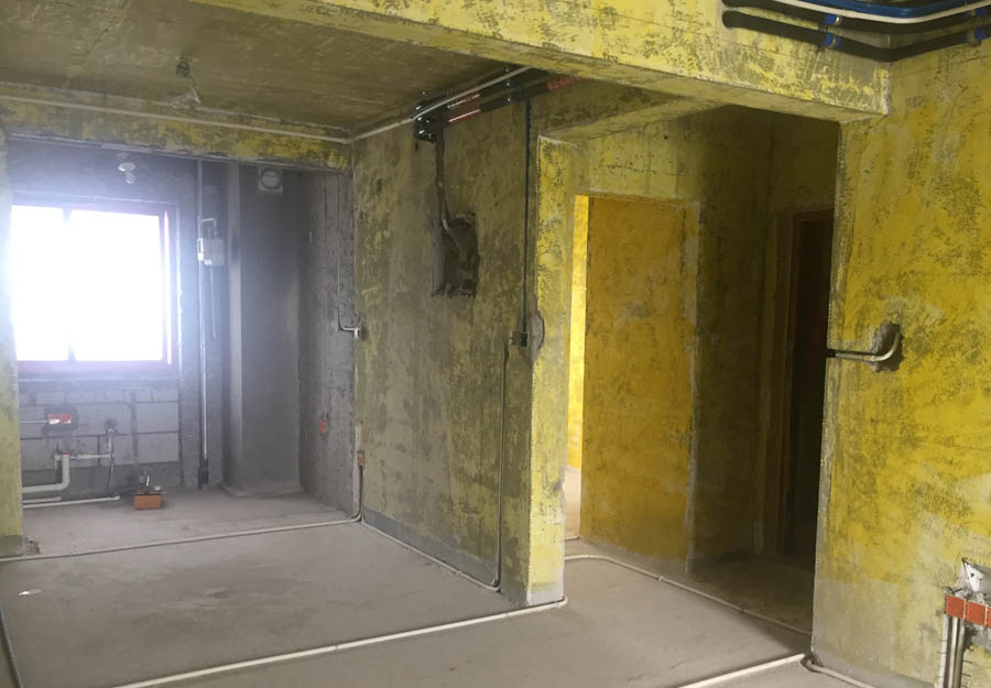 大发500-追求康健,你我一起生长