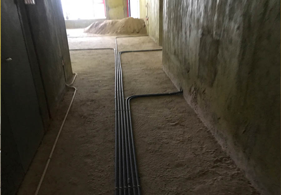 大发500-追求康健,你我一起生长