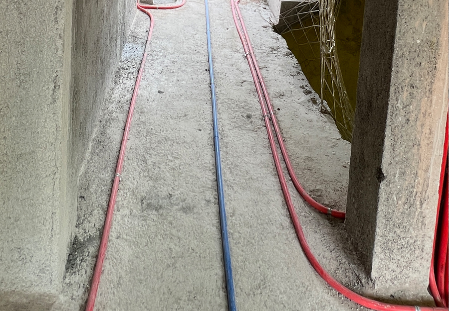 大发500-追求康健,你我一起生长