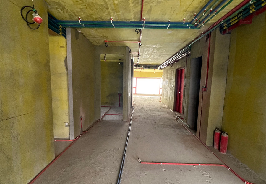 大发500-追求康健,你我一起生长