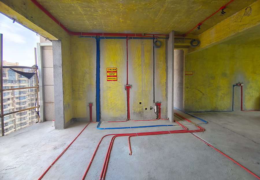 大发500-追求康健,你我一起生长